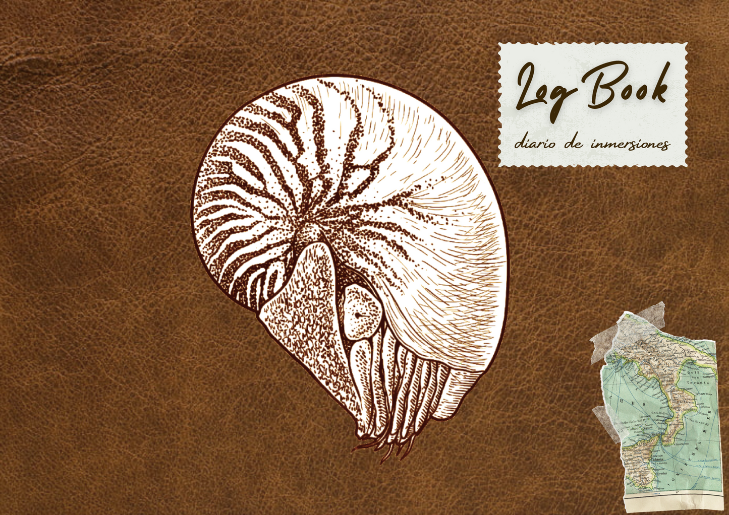 Logbook buceo - nautilus vintage